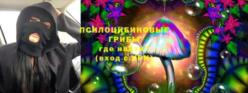 Галлюциногенные грибы MAGIC MUSHROOMS  Истра 